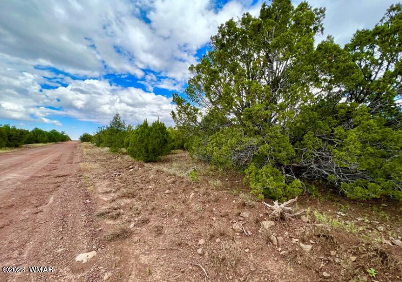 48 Co Road Vernon, AZ 85940 - Photo 6 of 9