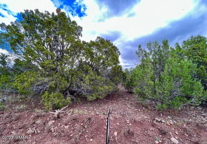 48 Co Road Vernon, AZ 85940 - Photo 7 of 9