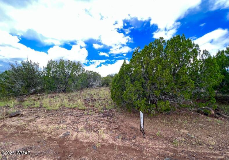 48 Co Road Vernon, AZ 85940 - Photo 8 of 9