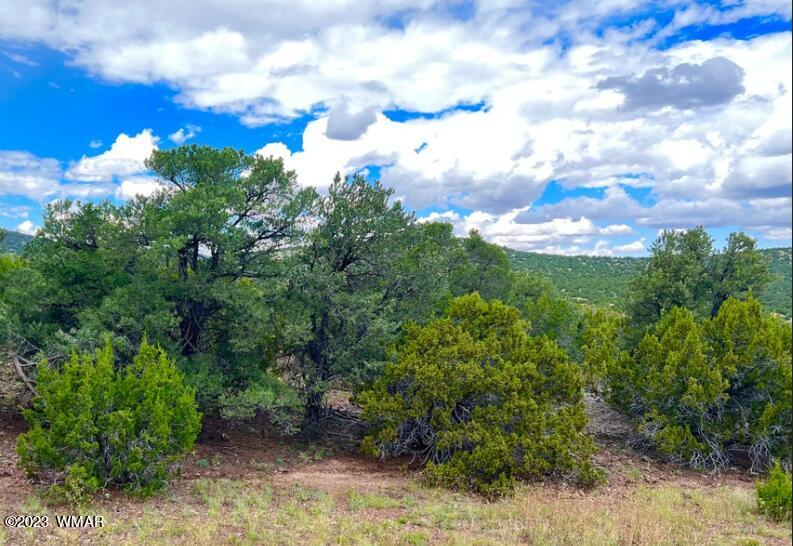 48 Co Road Vernon, AZ 85940 - Photo 9 of 9