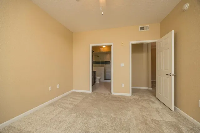 a view of a park with large trees