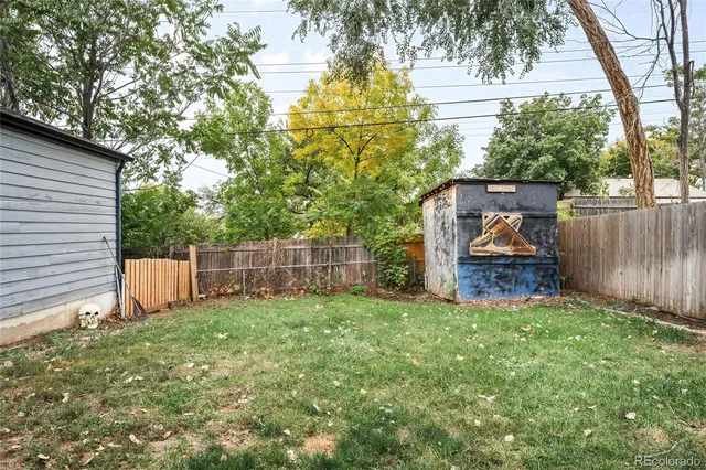 a view of a backyard with a tree
