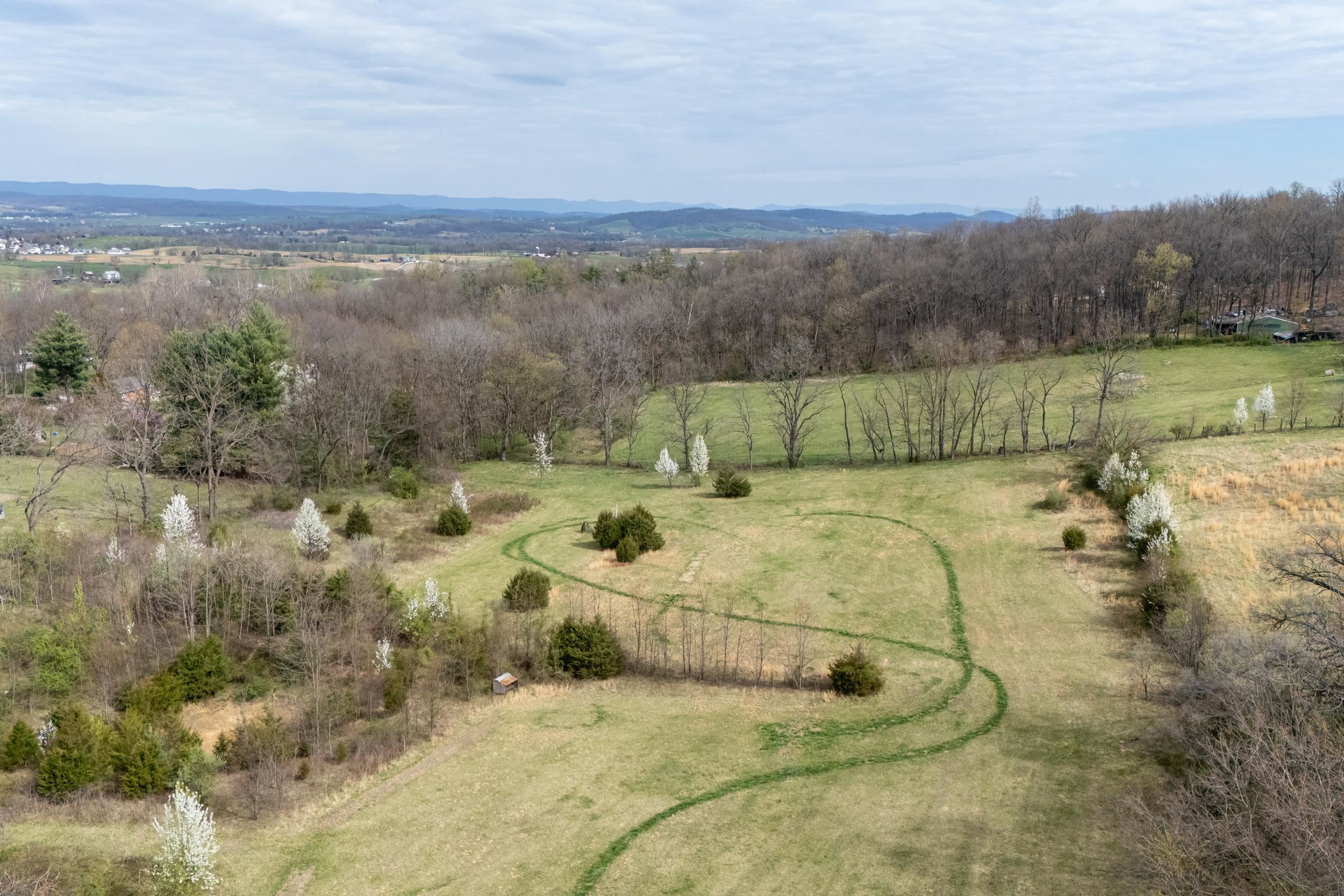 12039 Hupp Road Broadway, VA 22815 - Photo 12 of 22