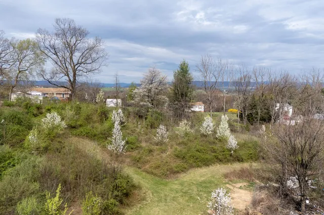 a view of a lake with a yard and large trees