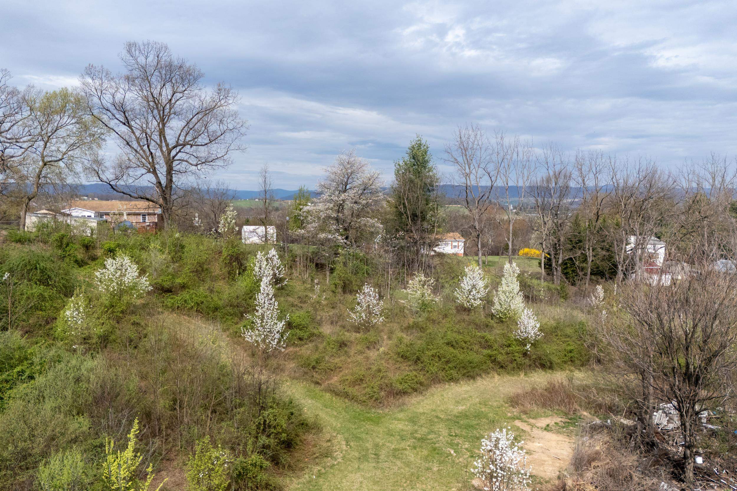 12039 Hupp Road Broadway, VA 22815 - Photo 13 of 22