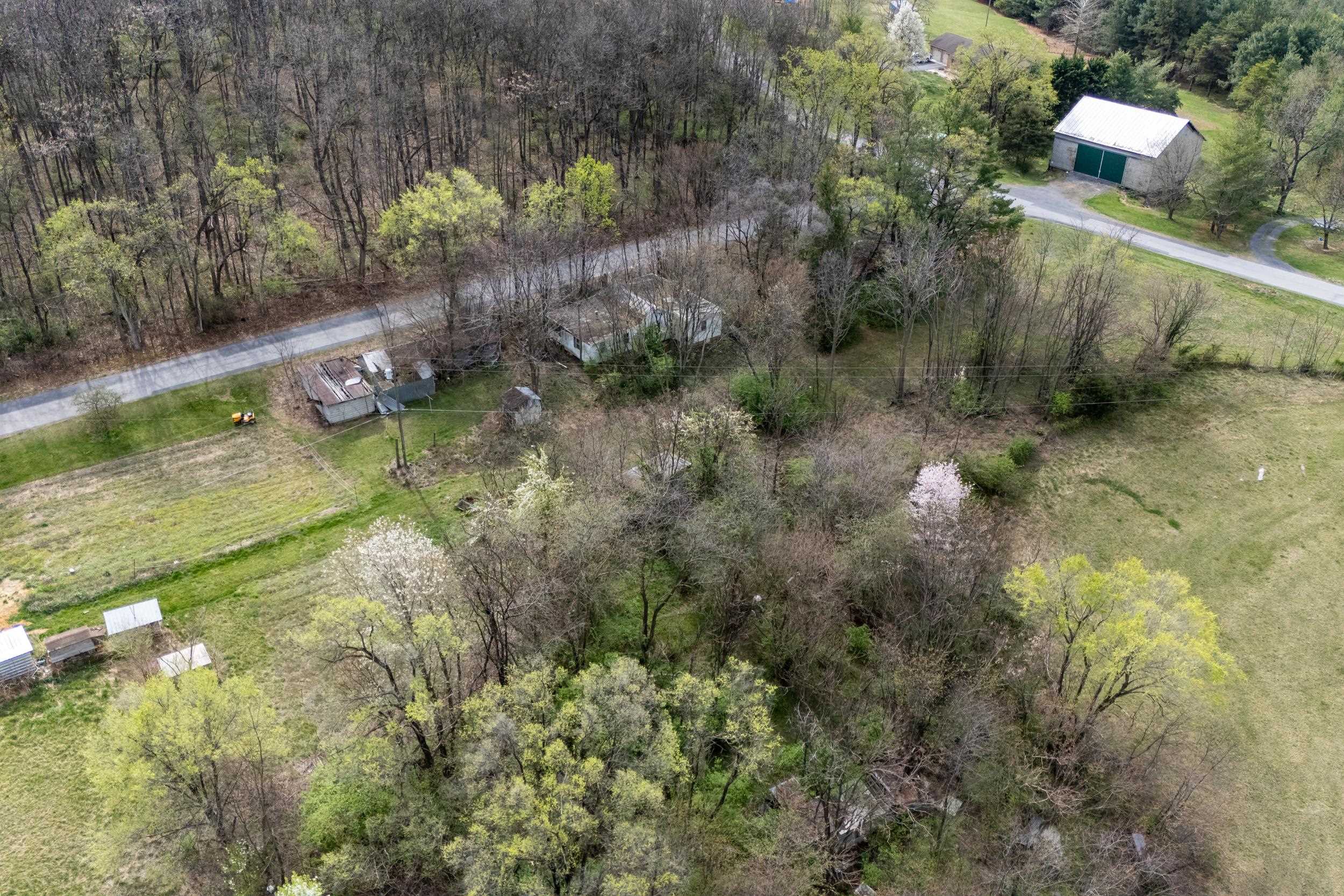 12039 Hupp Road Broadway, VA 22815 - Photo 16 of 22