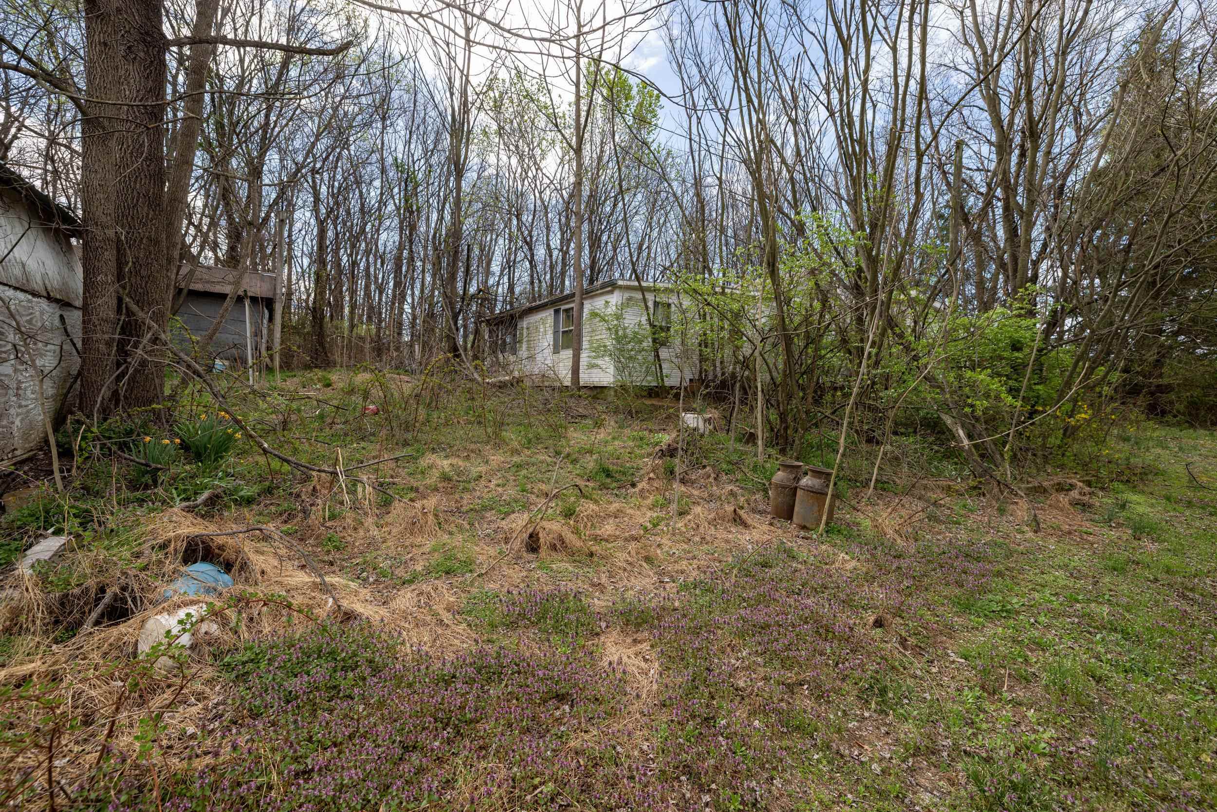 12039 Hupp Road Broadway, VA 22815 - Photo 19 of 22