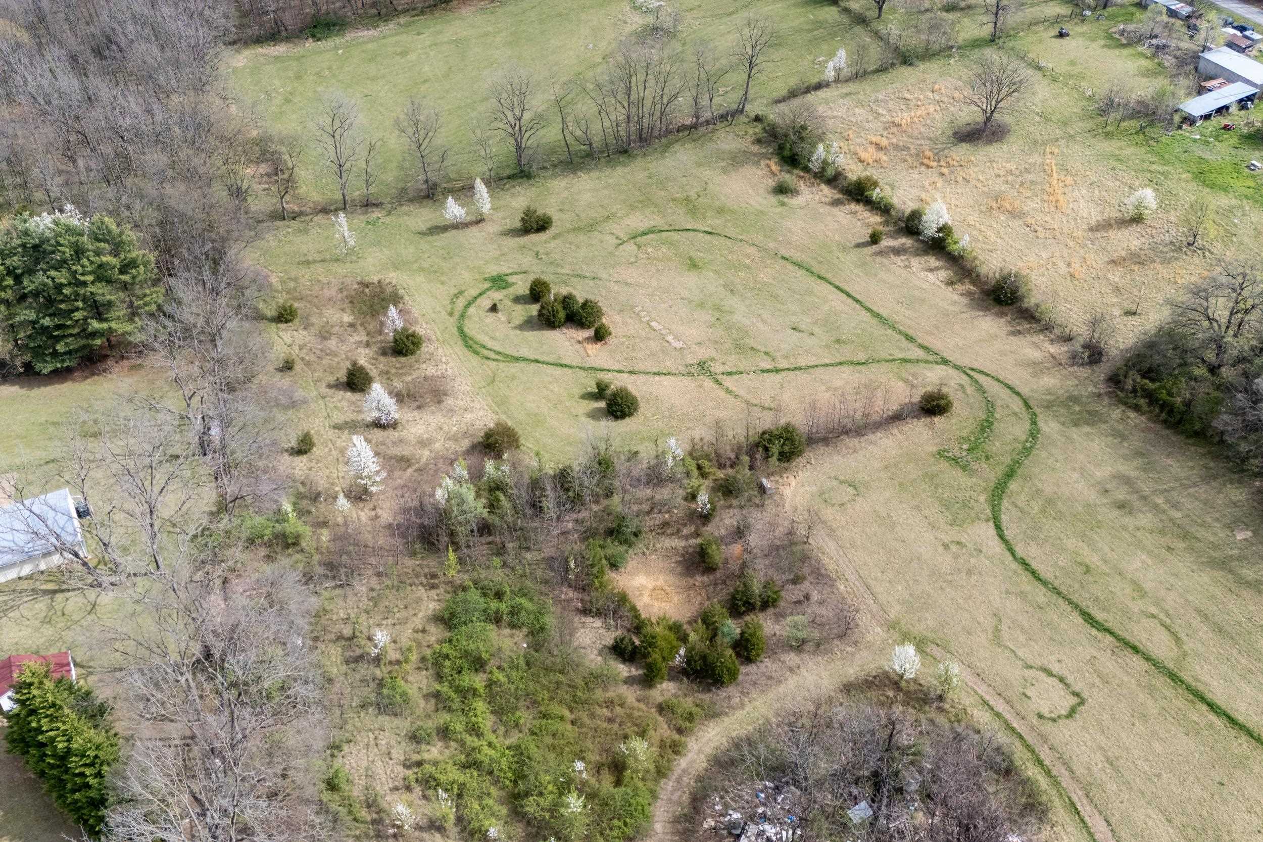 12039 Hupp Road Broadway, VA 22815 - Photo 7 of 22