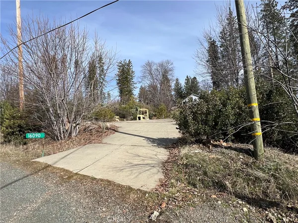 a view of a yard with trees