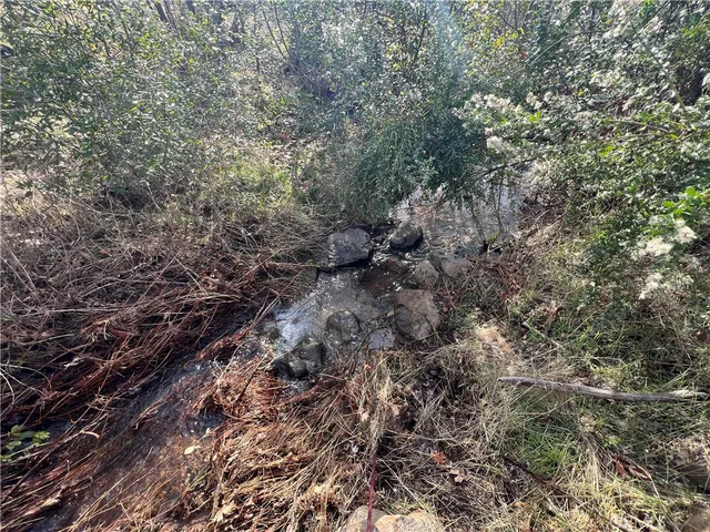 a view of a city with lots of trees