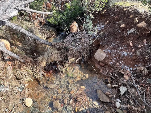 a view of a tree with a yard