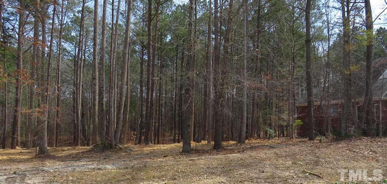 1408 Wakefield Farm Road Zebulon, NC 27597 - Photo 3 of 4 Gallery Image 3