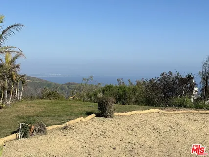 a view of a field with an tree