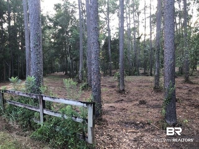 17793 River Road Summerdale, AL 36580 - Photo 5 of 17