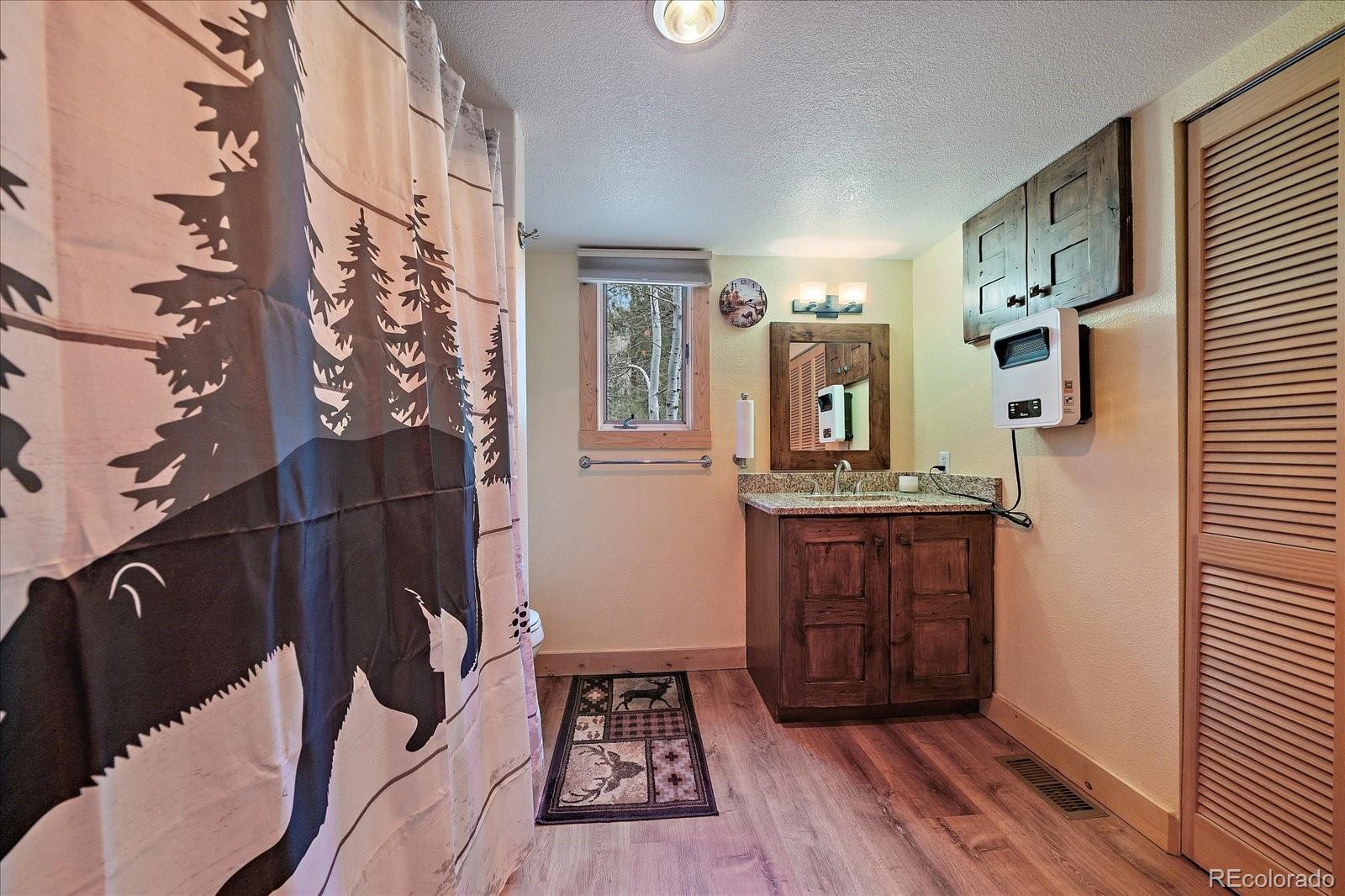 3065 South Piney Ridge Road Evergreen, CO 80439 - Photo 19 of 42