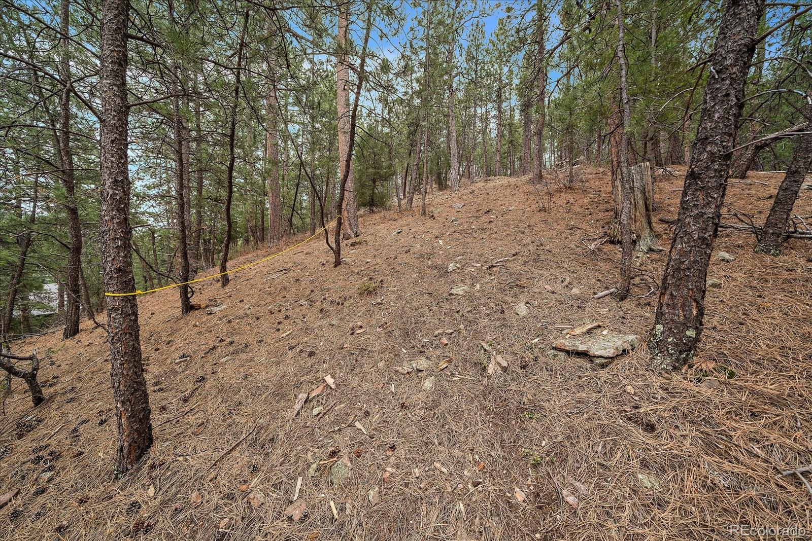 3065 South Piney Ridge Road Evergreen, CO 80439 - Photo 35 of 42