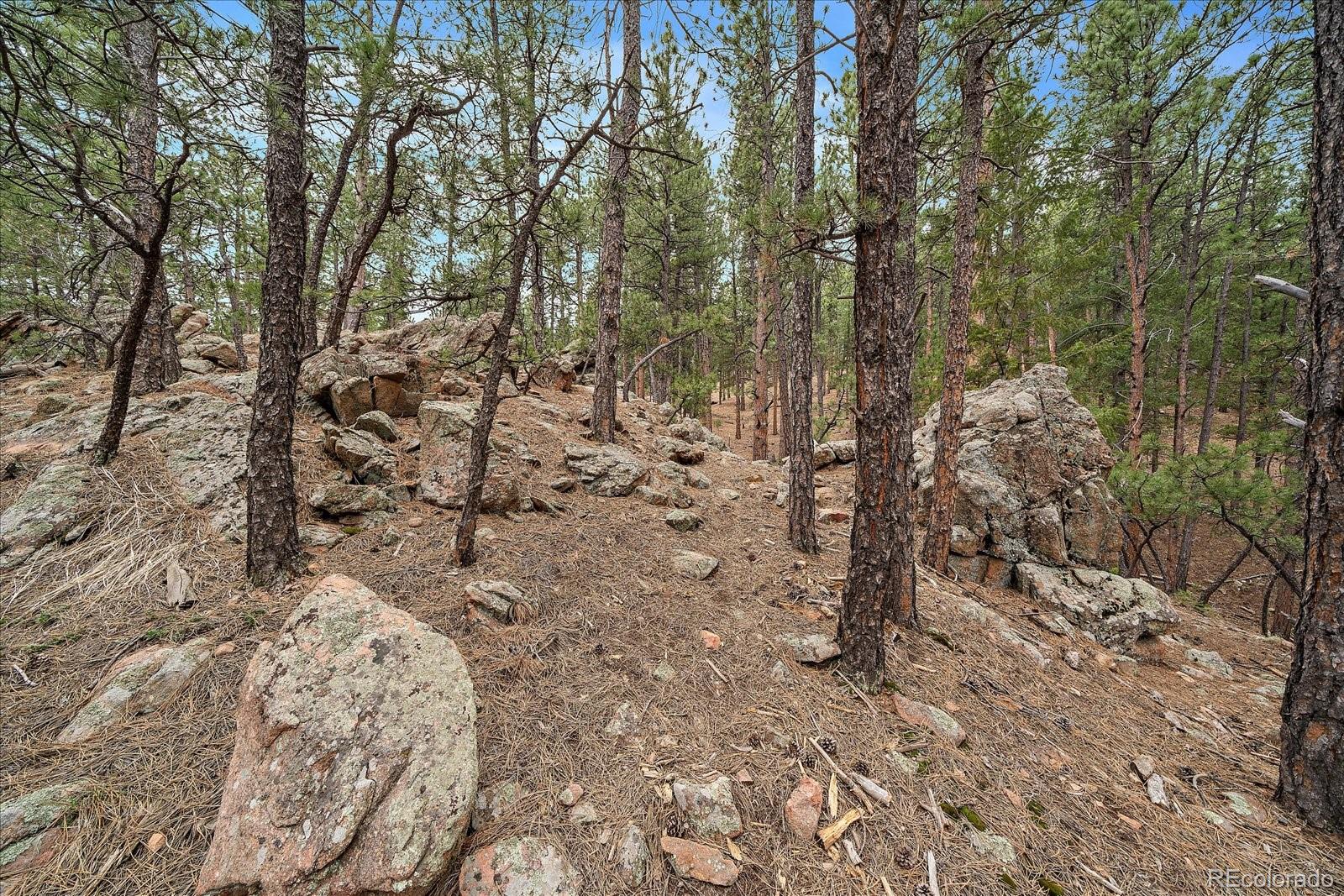 3065 South Piney Ridge Road Evergreen, CO 80439 - Photo 36 of 42