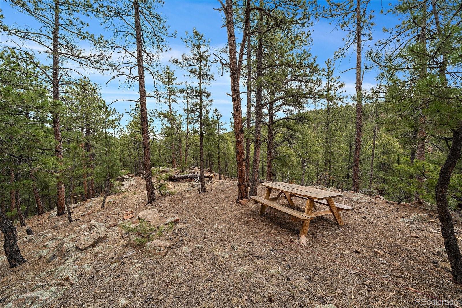 3065 South Piney Ridge Road Evergreen, CO 80439 - Photo 37 of 42