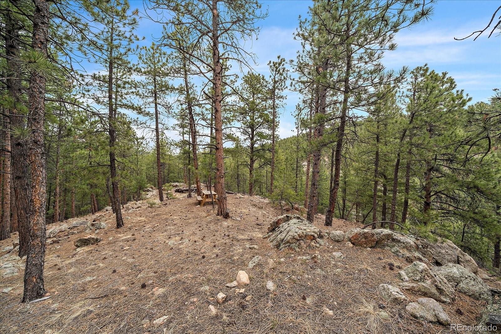 3065 South Piney Ridge Road Evergreen, CO 80439 - Photo 38 of 42