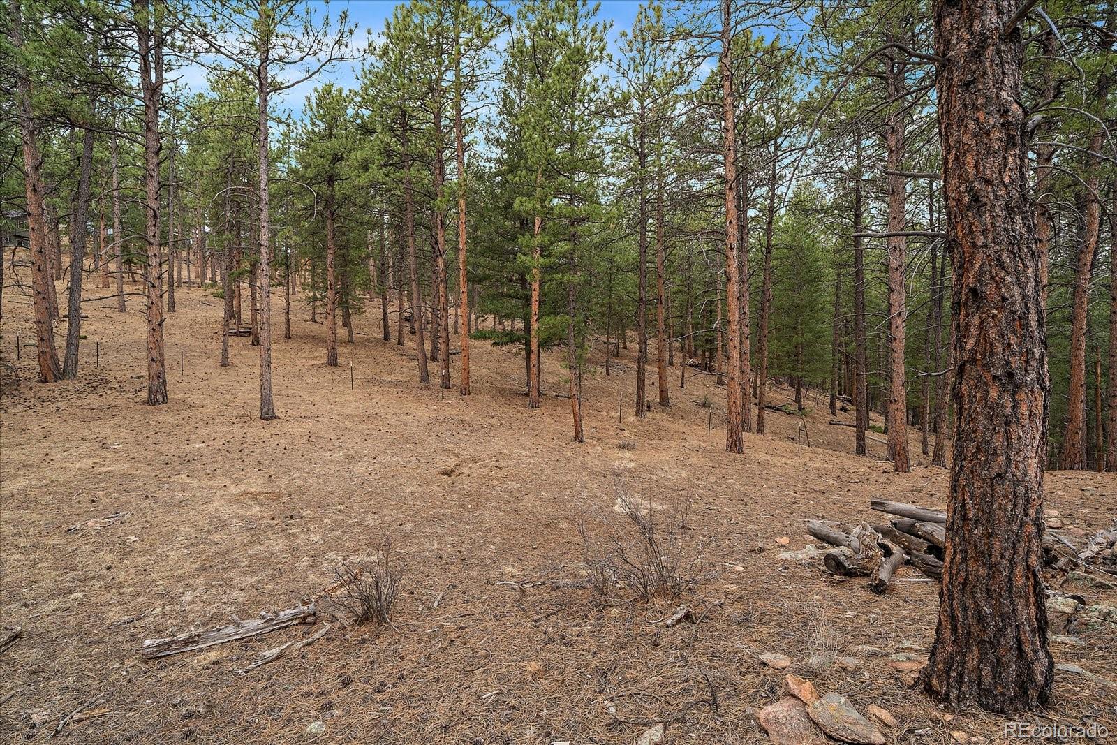 3065 South Piney Ridge Road Evergreen, CO 80439 - Photo 39 of 42