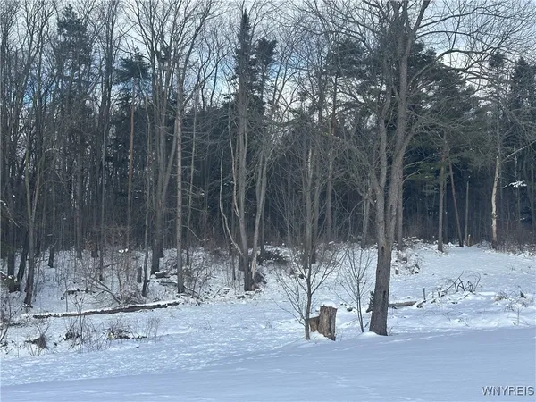 $550,000 | 733 Highway 20A, Sheldon, NY 14145