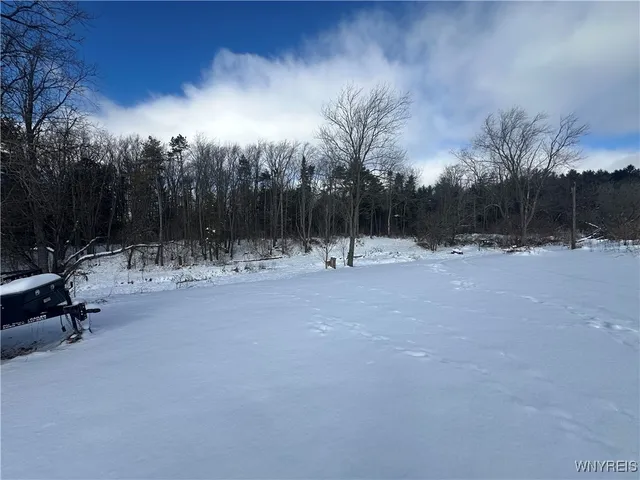 $550,000 | 733 Highway 20A, Sheldon, NY 14145