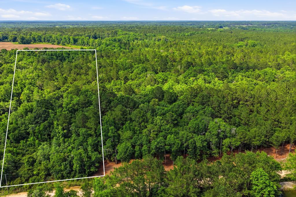 Lot #1 Crosby Clark Road Opp, AL 36467 - Photo 1 of 6 Main View