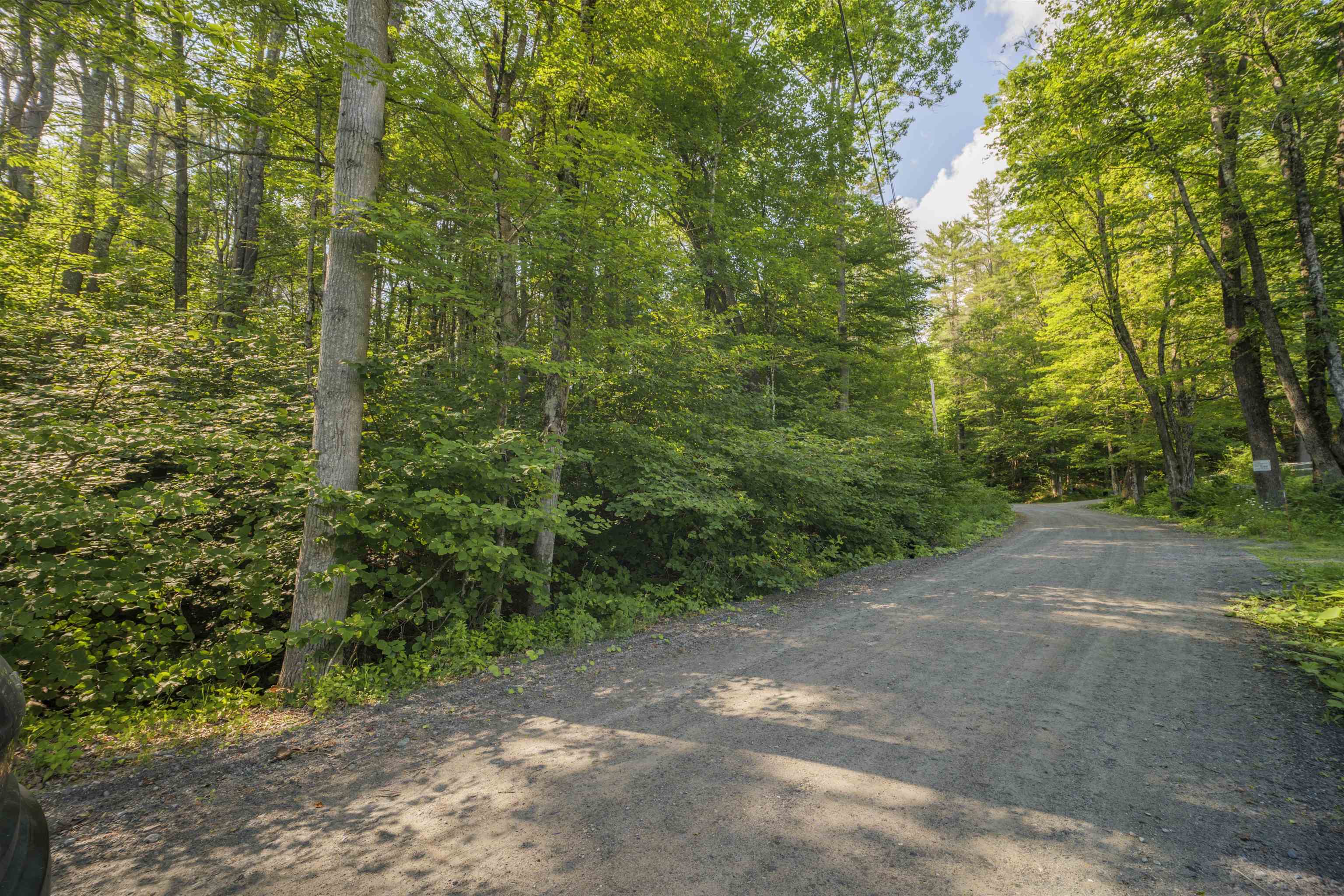 0 Howe Farm Road Jamaica, VT 05343 - Photo 16 of 25