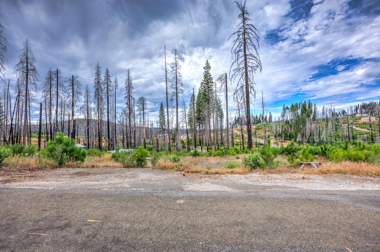 4529 String Canyon Road Grizzly Flats, CA 95636 - Photo 1 of 17