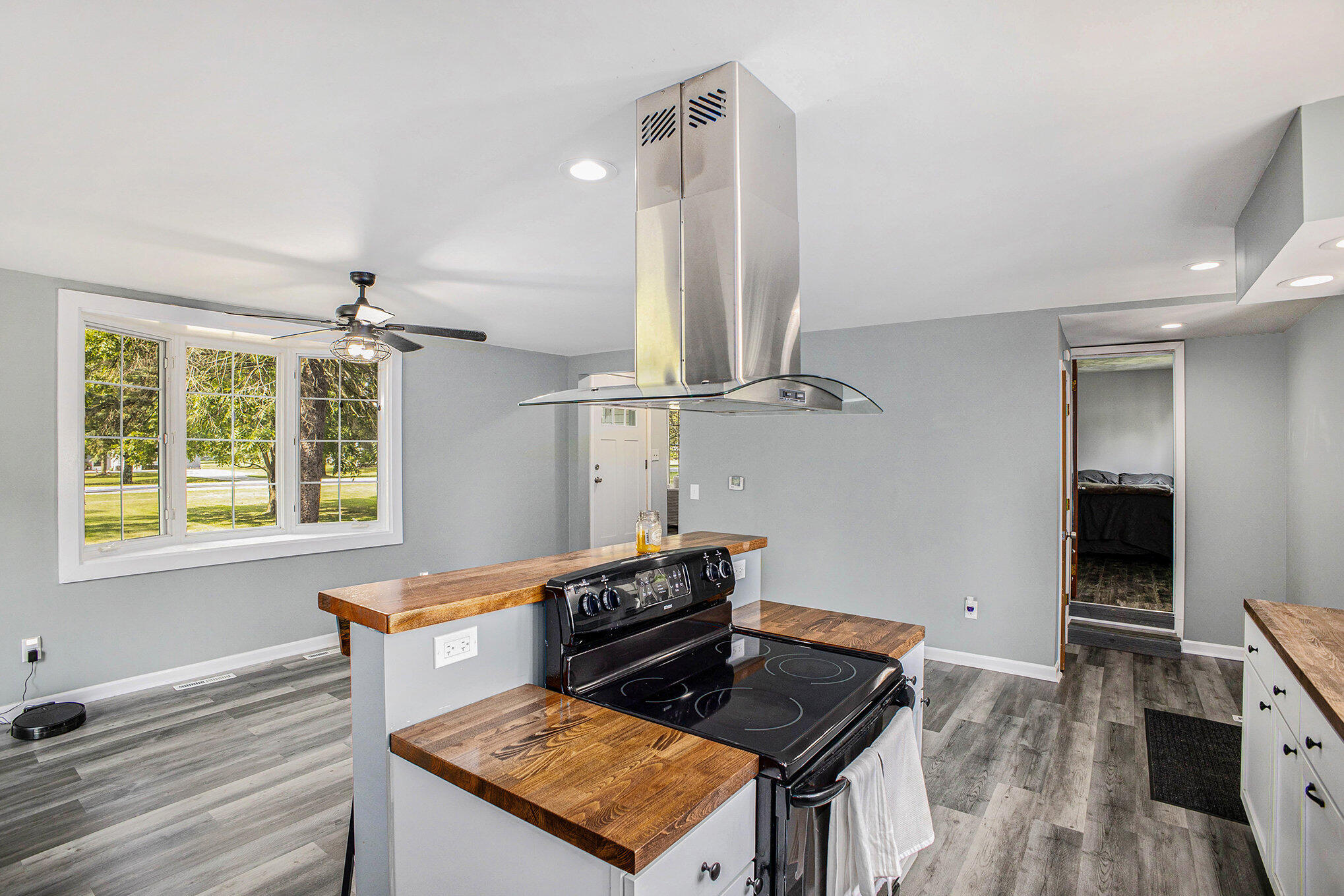 1680 East Copas Road Owosso, MI 48867 - Photo 4 of 19 copas island 2