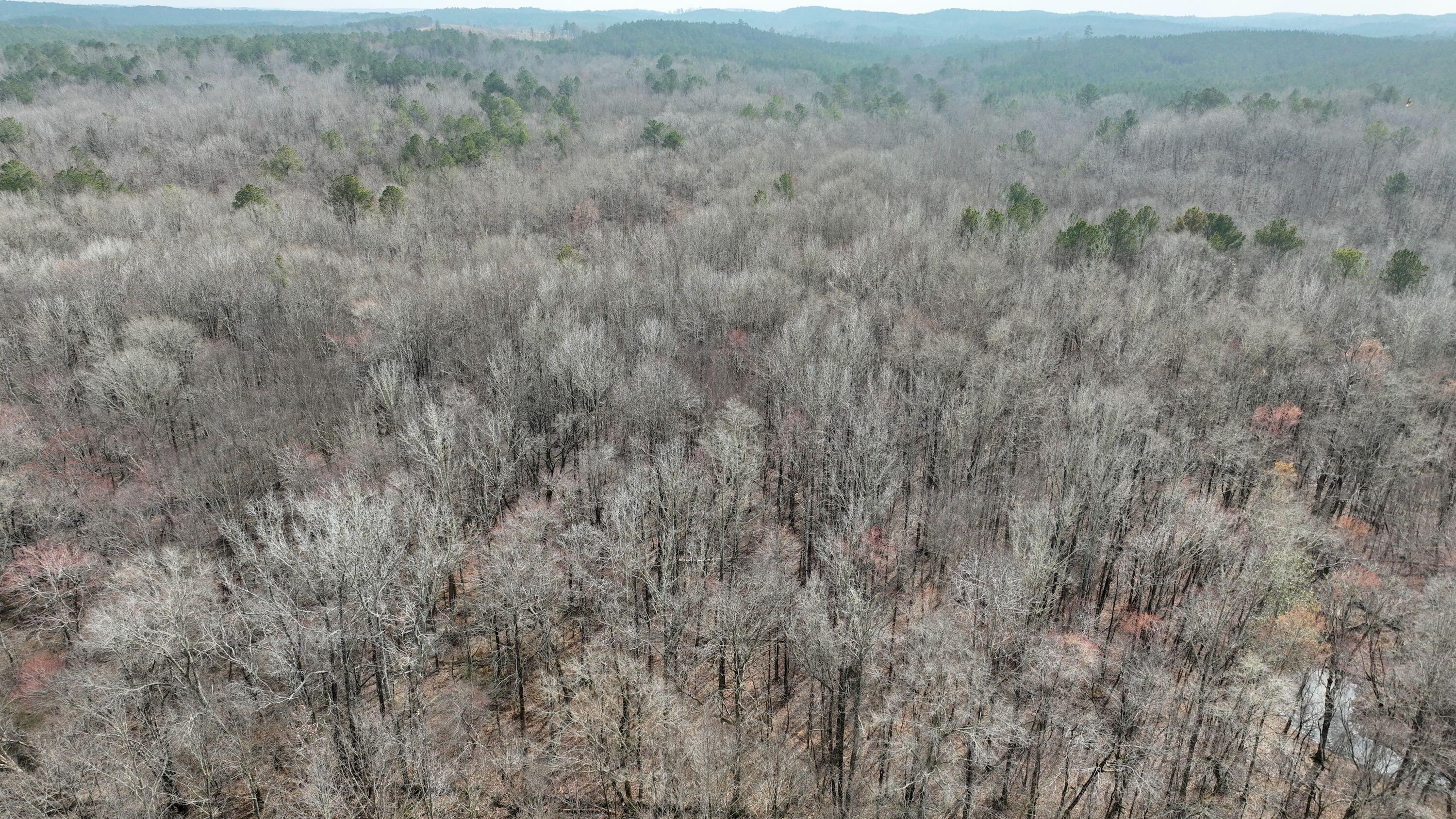 731 Wright Road Tremont, MS 38876 - Photo 28 of 76 Gallery Image 28