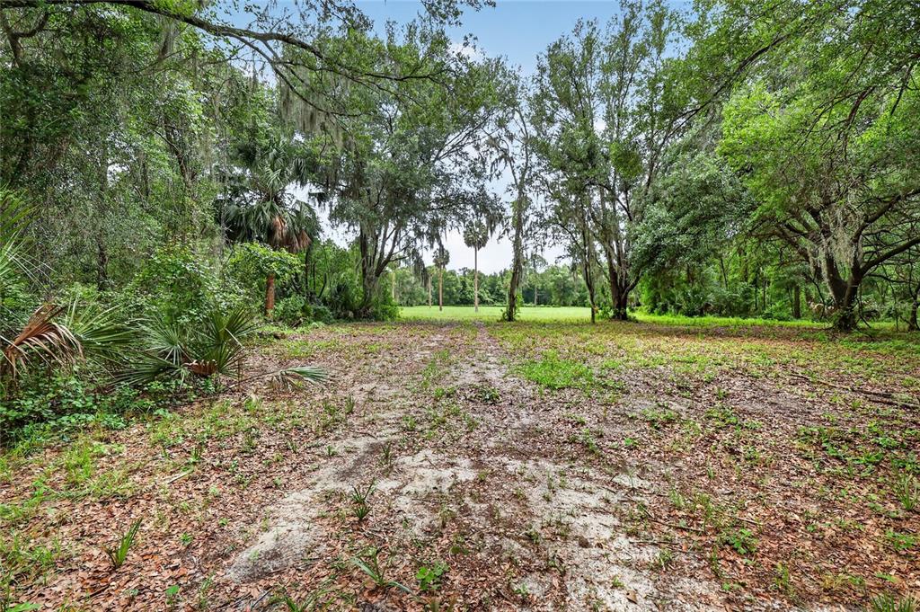 Kilker Road Paisley, FL 32767 - Photo 7 of 15