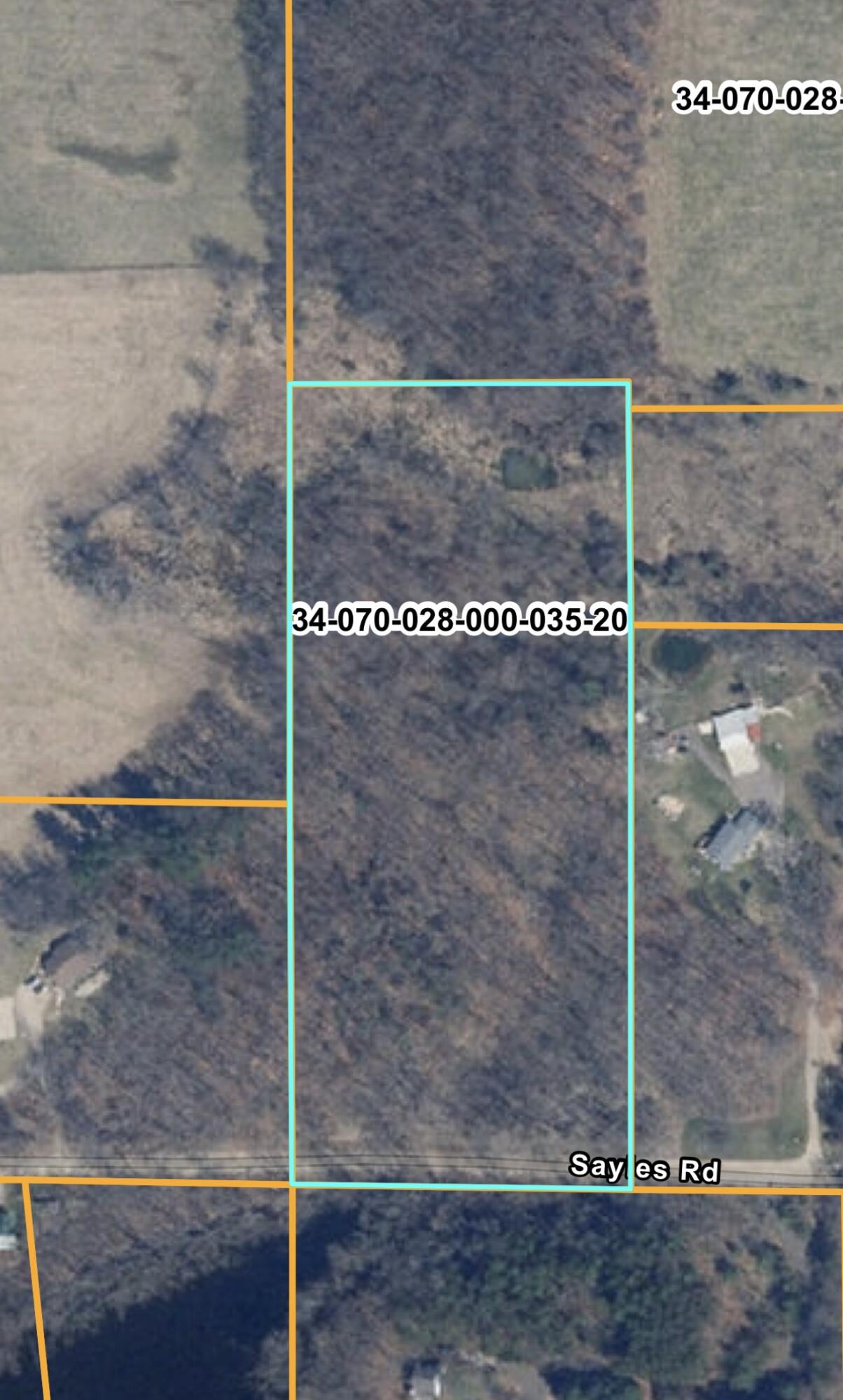 0 Sayles Road Lowell, MI 49331 - Photo 11 of 11 IMG_0163