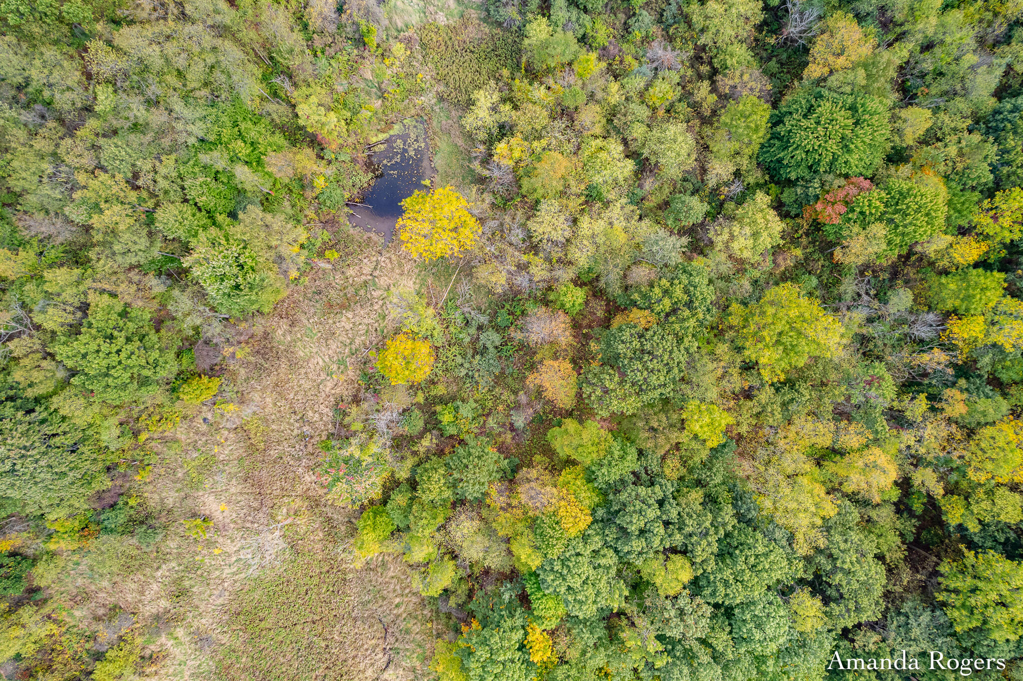 0 Sayles Road Lowell, MI 49331 - Photo 4 of 11 RHPRE_251006_005