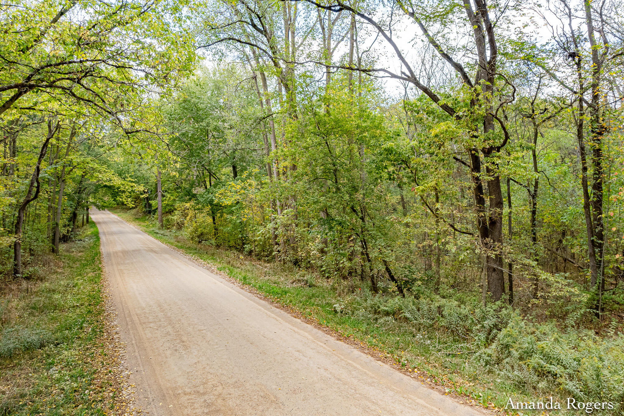 0 Sayles Road Lowell, MI 49331 - Photo 10 of 11 RHPRE_251006_014