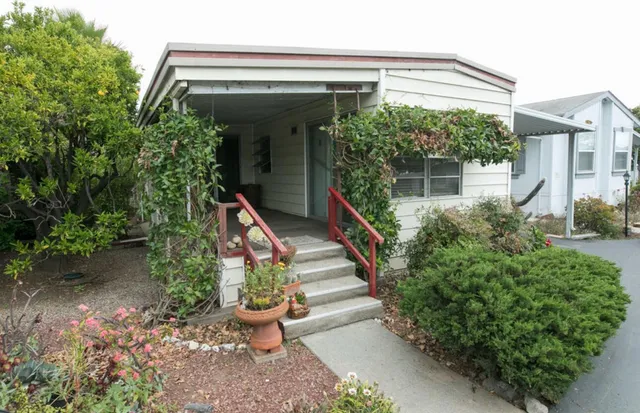 a view of a house with potted plants