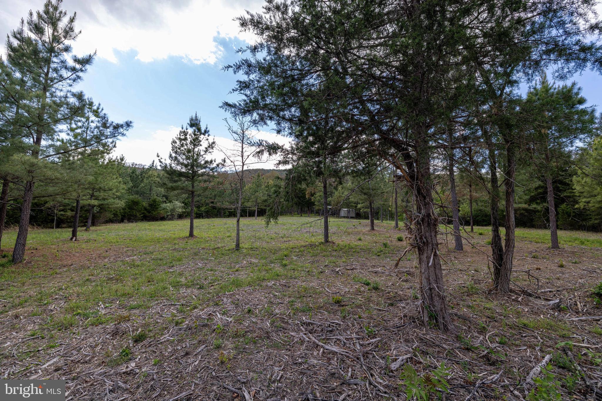 Boliver Road Fort Valley, VA 22652 - Photo 20 of 49 Gallery Image 20