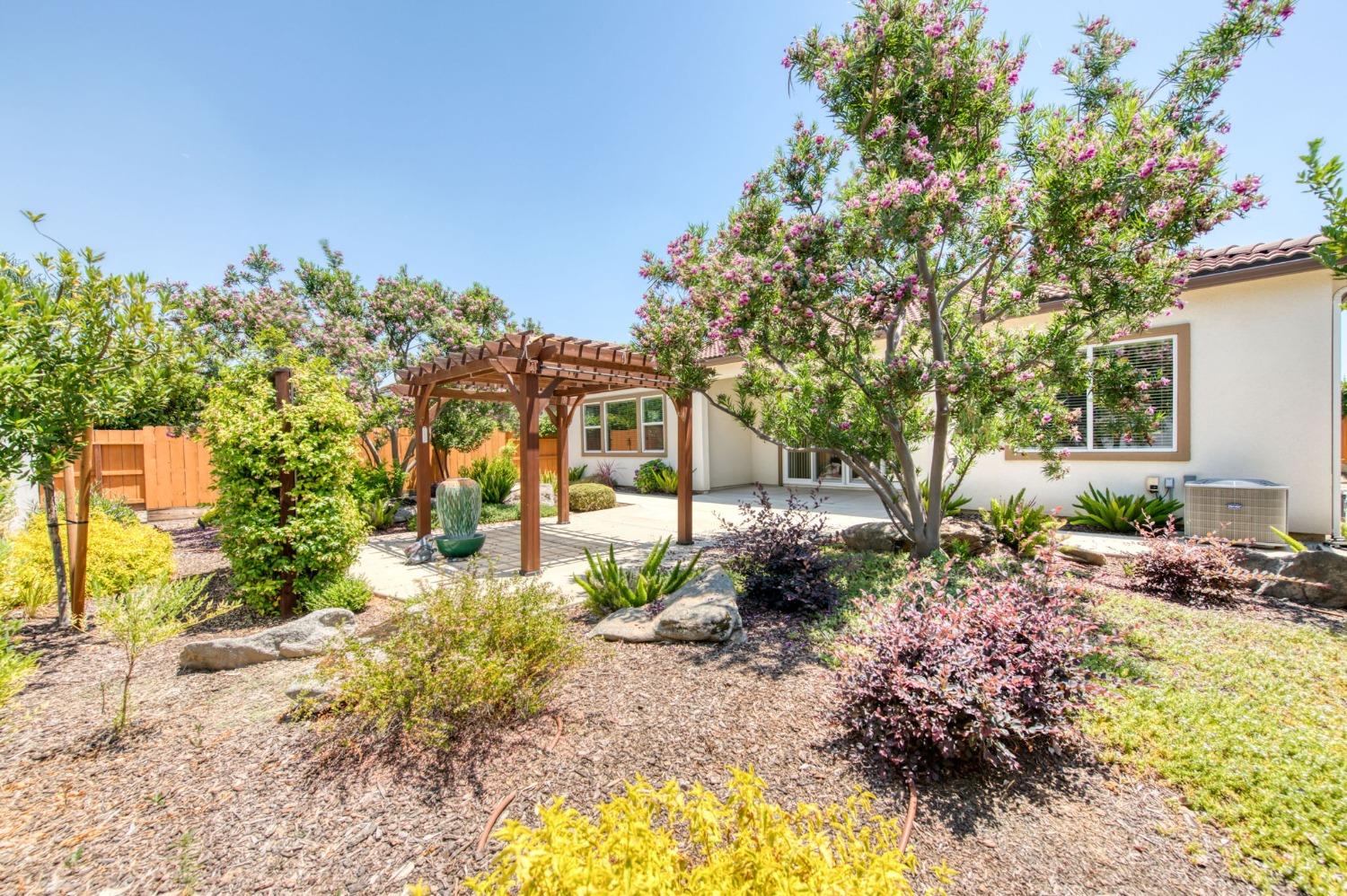 3301 Salem Avenue Clovis, CA 93619 - Photo 38 of 41 a view of a yard with plants and large trees