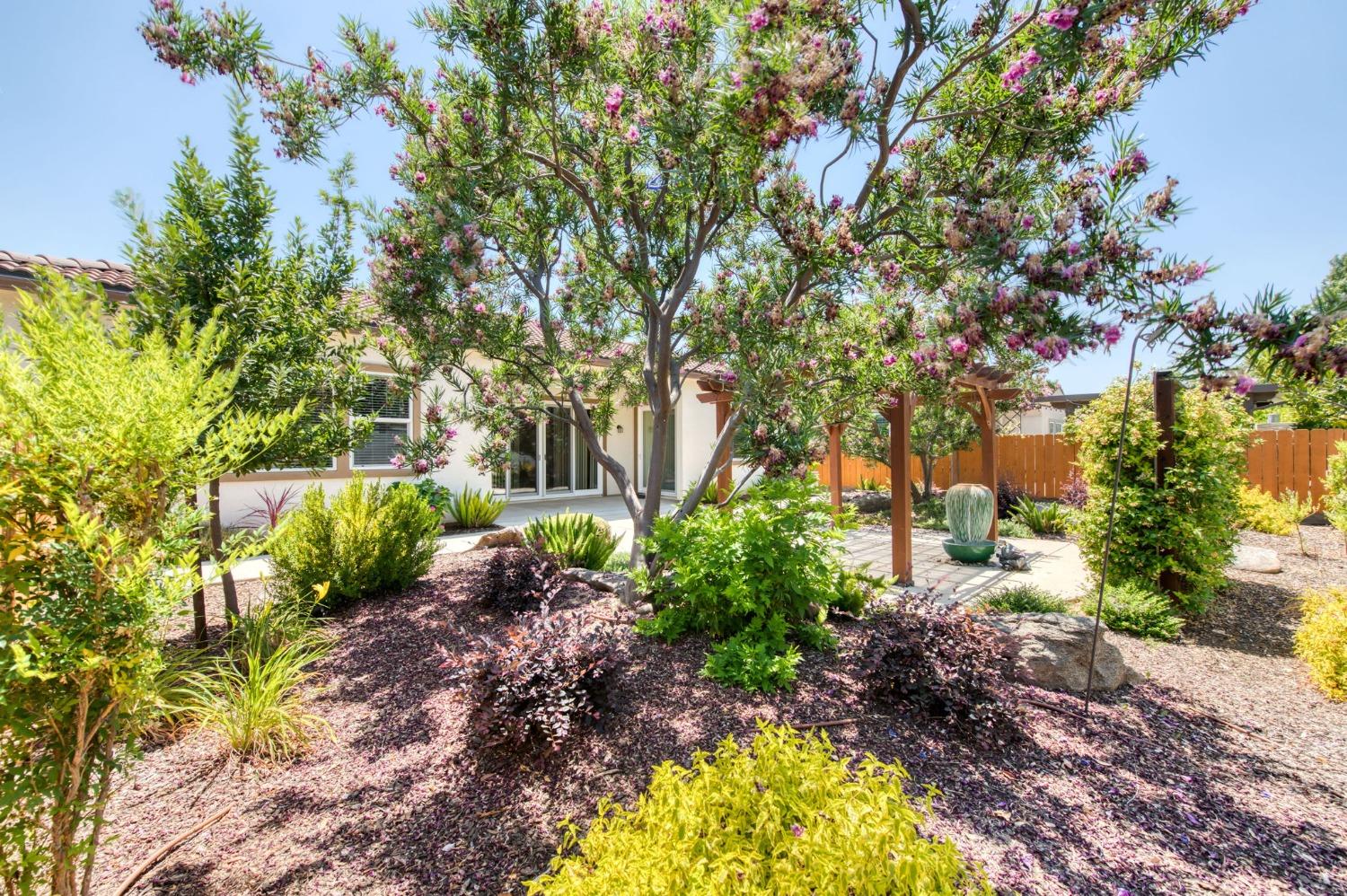 3301 Salem Avenue Clovis, CA 93619 - Photo 41 of 41 a garden view