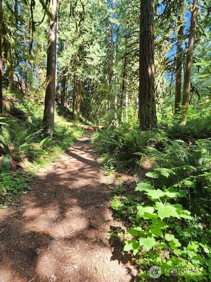 7882 Silver Lake Road Maple Falls, WA 98266 - Photo 19 of 22