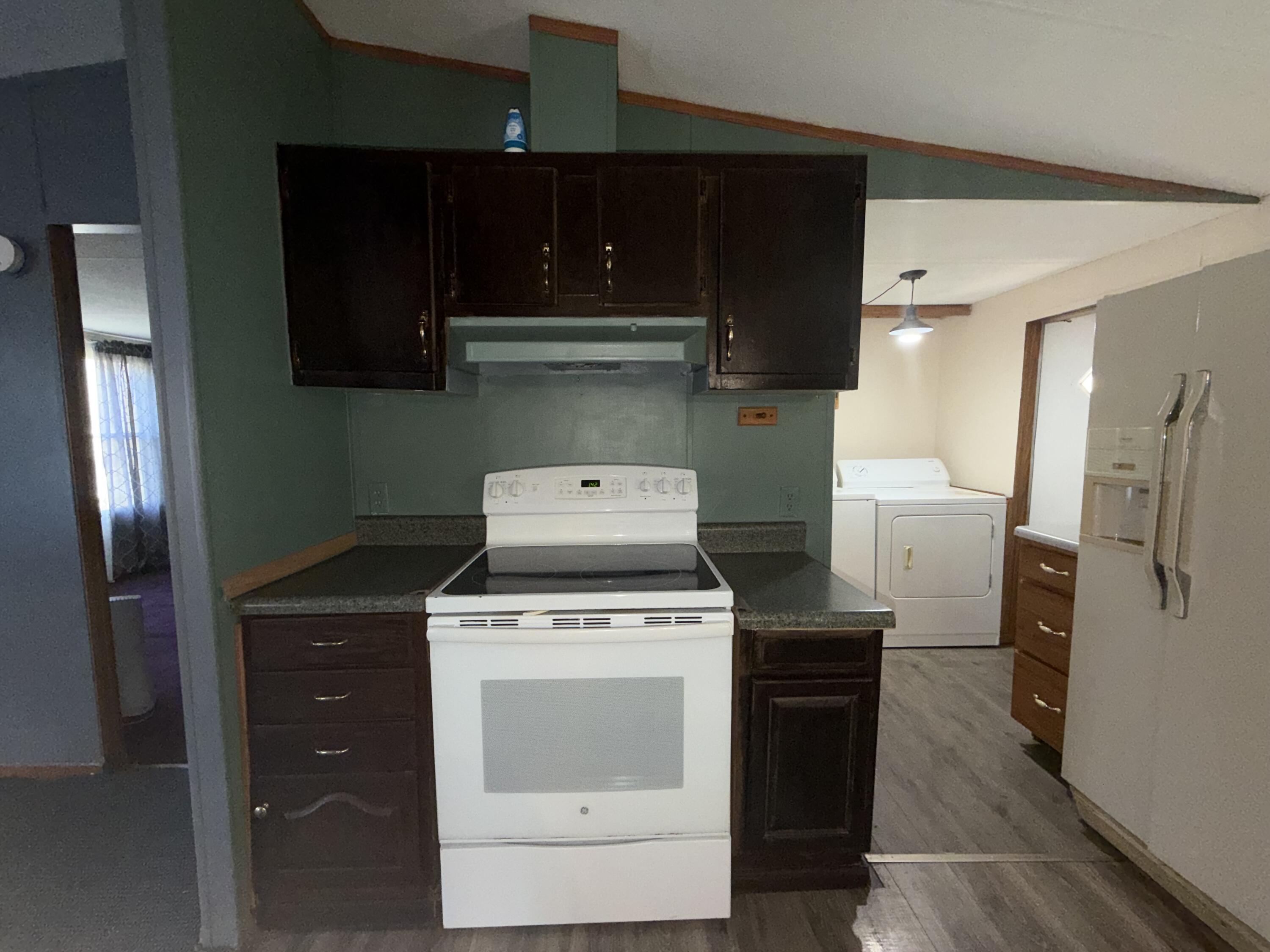 262 Lowe Street Buchanan, VA 24066 - Photo 17 of 36 IMG_8173