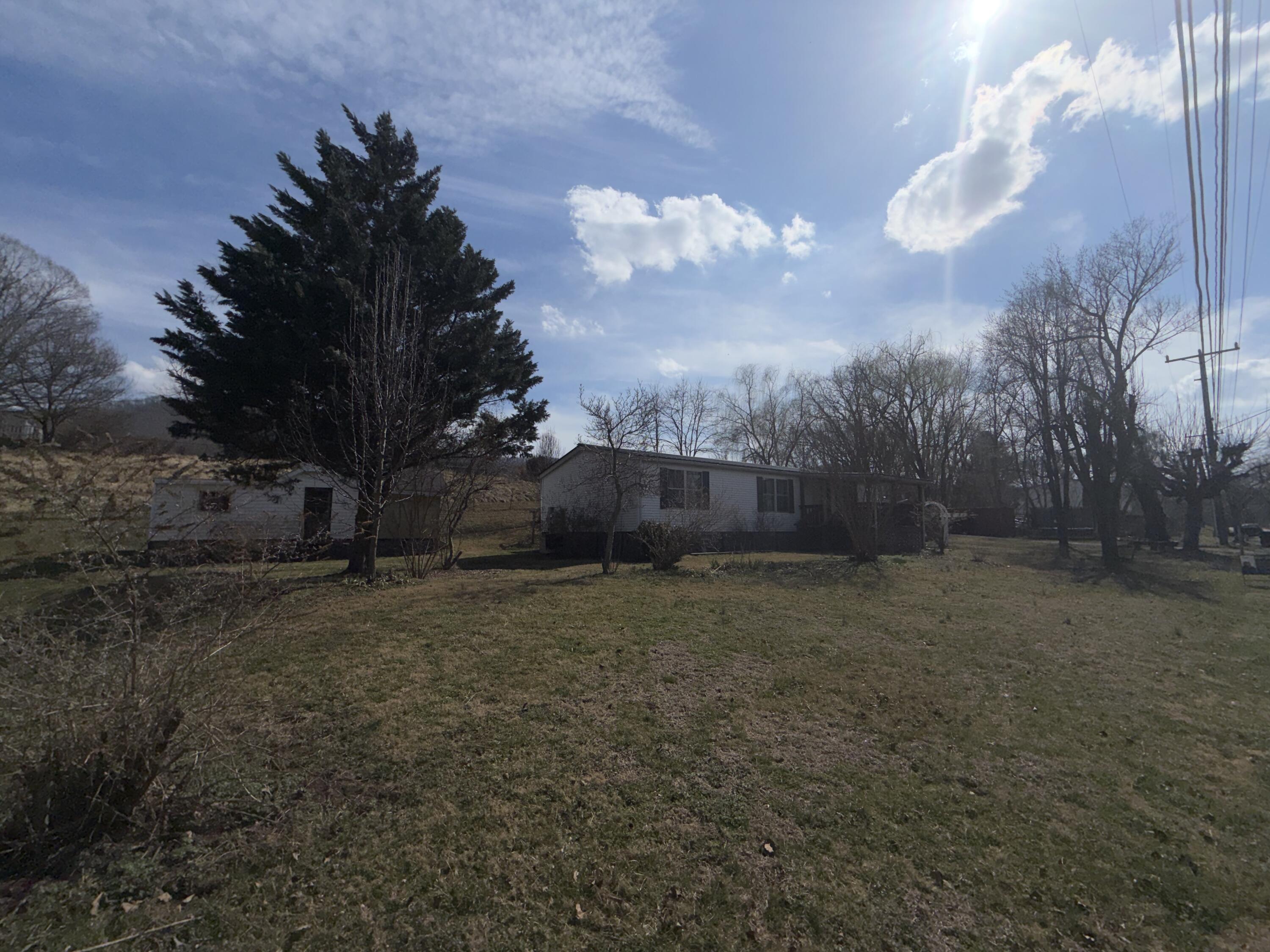 262 Lowe Street Buchanan, VA 24066 - Photo 4 of 36 IMG_8212