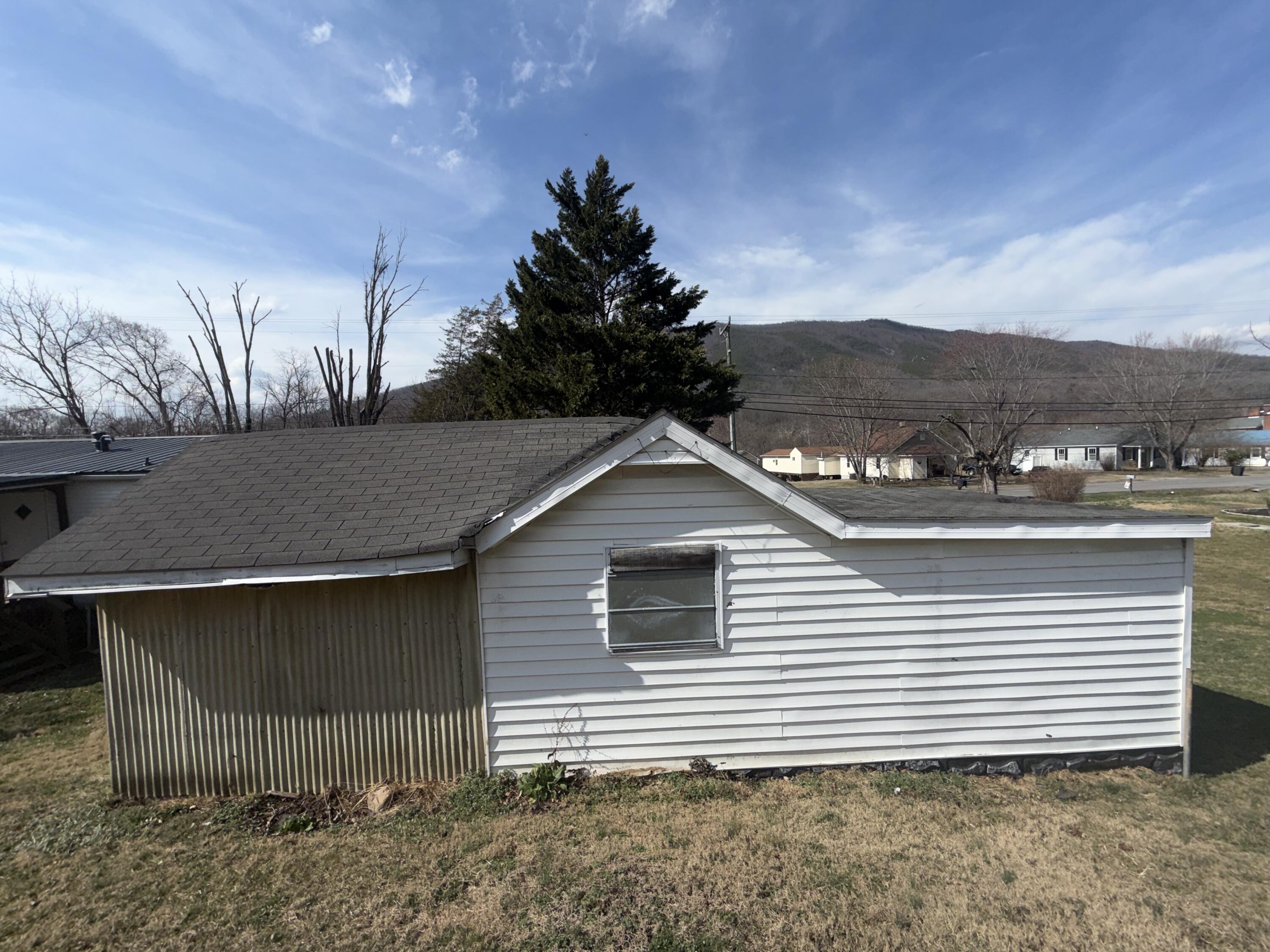 262 Lowe Street Buchanan, VA 24066 - Photo 6 of 36 IMG_8207