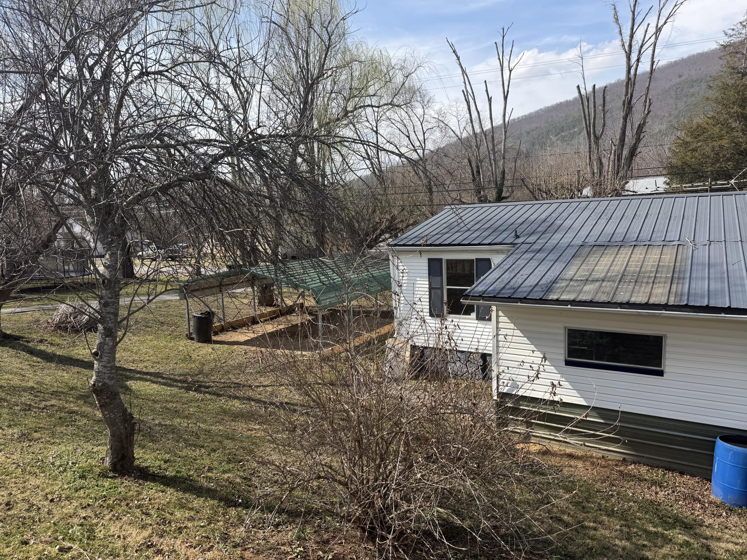 262 Lowe Street Buchanan, VA 24066 - Photo 7 of 36 IMG_8205