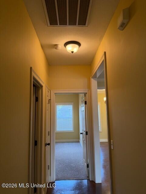 613 Shea Cove Brandon, MS 39047 - Photo 17 of 25 Hall between bedrooms