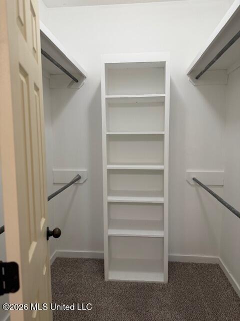 613 Shea Cove Brandon, MS 39047 - Photo 9 of 25 Primary closet