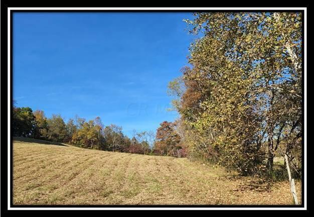 0 Maysville-Williams Road, Unit TRACT 1) Logan, OH 43138 - Photo 9 of 47 image009
