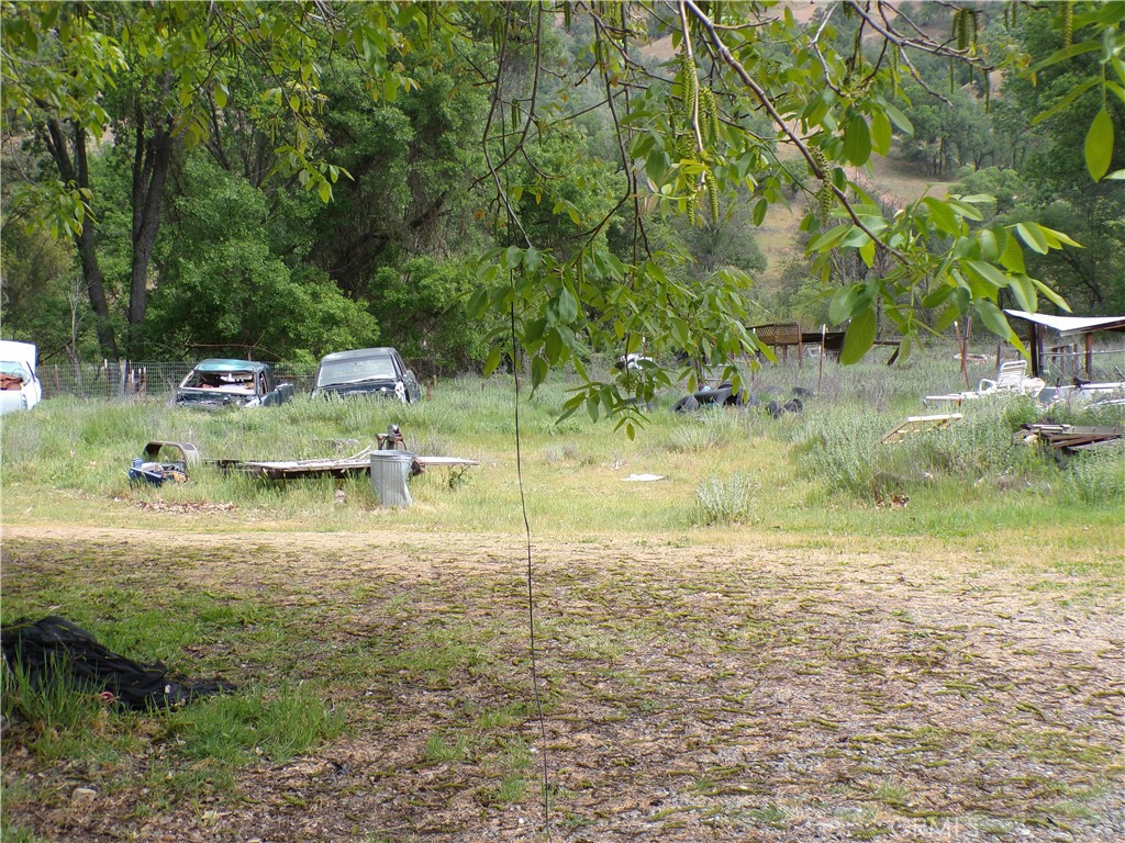 2453 New Long Valley Road Clearlake Oaks, CA 95423 - Photo 3 of 5 a view of yard with green space