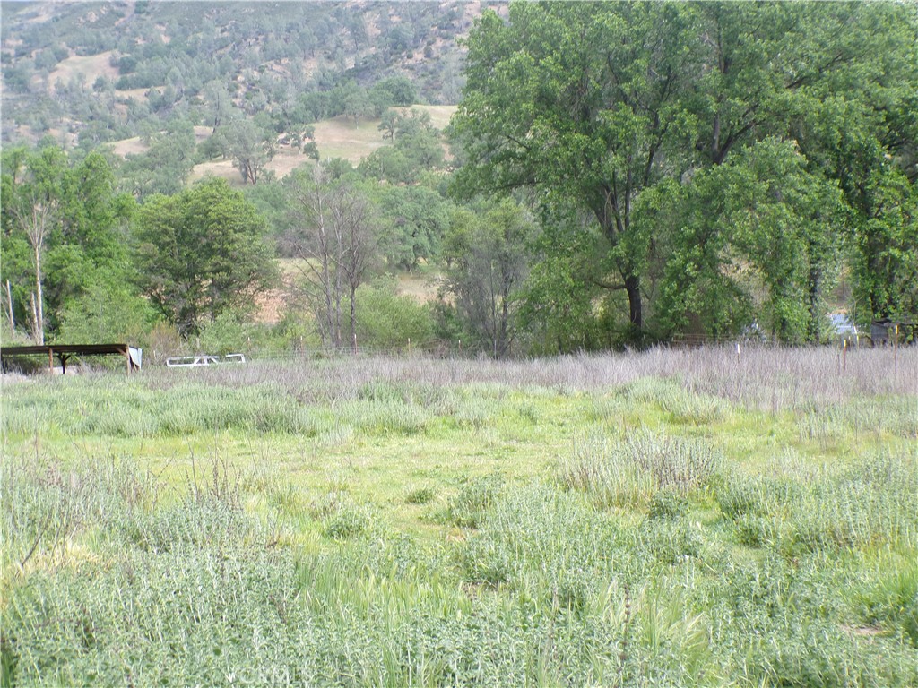 2453 New Long Valley Road Clearlake Oaks, CA 95423 - Photo 5 of 5 a view of outdoor space and yard