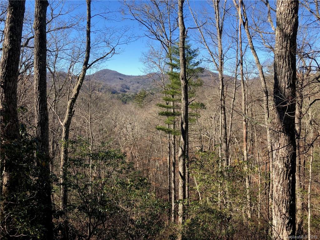 11 Shepherds Gap Road, Unit 11 Cullowhee, NC 28723 - Photo 1 of 13 Gallery Image 1
